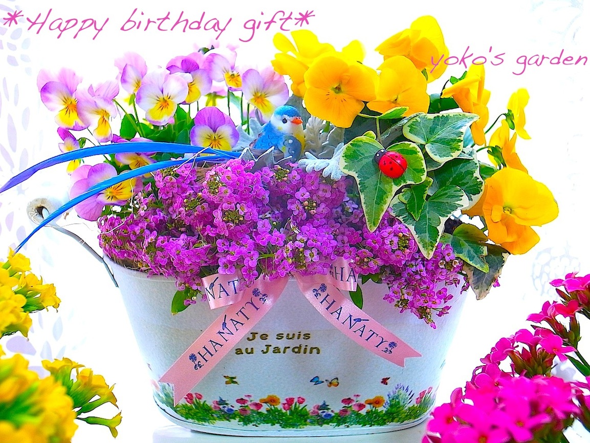 花 プレゼント おしゃれ 人気の誕生日お祝い花贈り物ギフト Birthday Party 送料無料 花のプレゼントは人気の寄せ植え 鉢植えギフト宅配通販 Yoko S Garden