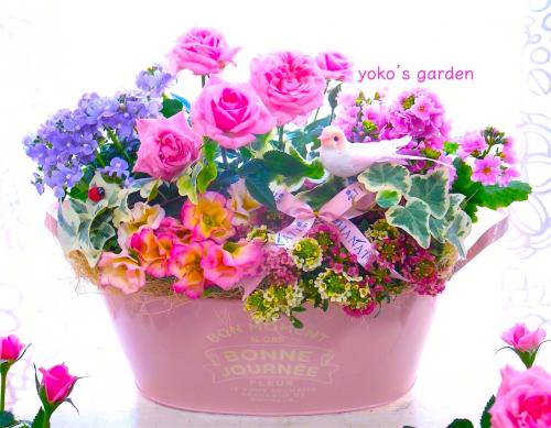 花 プレゼント オシャレ 春のミニバラ花鉢ギフト 祝福バード付き 花のプレゼントは人気の寄せ植え 鉢植えギフト通販 Yoko S Garden
