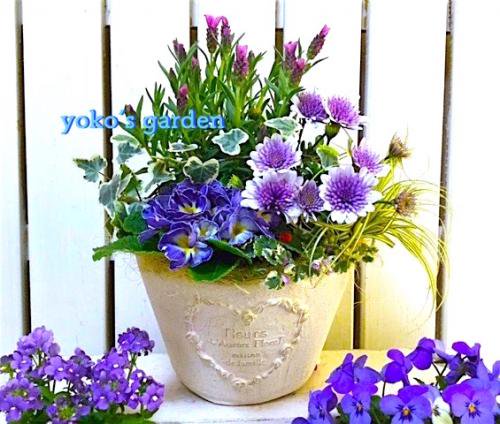 花 プレゼント ラベンダー 春のサムシングブルー花鉢植えギフト 花のプレゼントは人気の寄せ植え 鉢植えギフト通販 Yoko S Garden