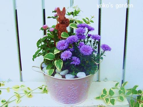 秋のパープルカラー寄せ植え 花プレゼントは人気のおしゃれ花鉢植え寄せ植えギフト宅配通販 Yoko S Garden