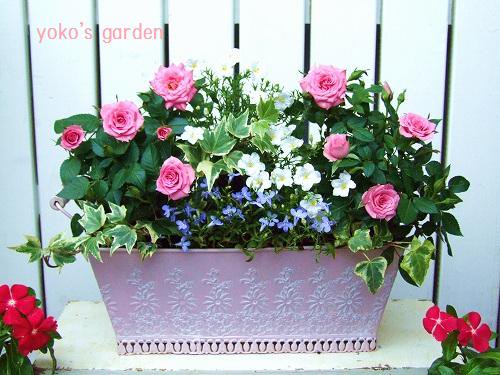 華やかな高級バラの寄せ植え 花プレゼントは人気のおしゃれ花鉢植え寄せ植えギフト宅配通販 Yoko S Garden