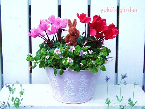 花プレゼント フラワーギフト 高級シクラメン寄せ植え うさぎのピック付き Yoko S Garden