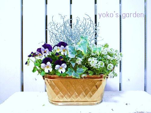 かわいい寄せ植え冬ギフト 花 プレゼント ハーブ お花の寄せ植えギフト ガーデニング寄せ植え通販 Yoko S Garden