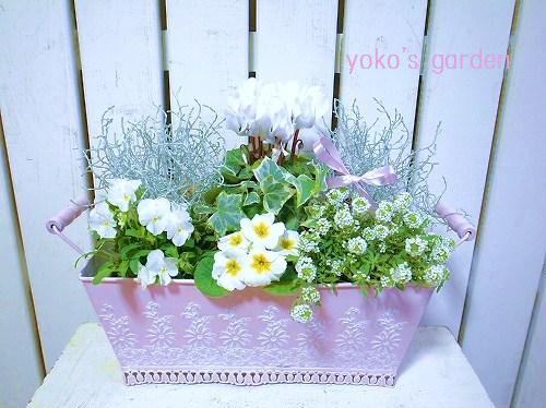 冬の豪華な寄せ植え 花プレゼントは人気のおしゃれ花鉢植え寄せ植えギフト宅配通販 Yoko S Garden