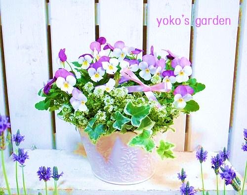 花プレゼント 良く咲き続けるビオラの寄せ植え 花のプレゼントは人気の寄せ植え 鉢植えギフト通販 Yoko S Garden