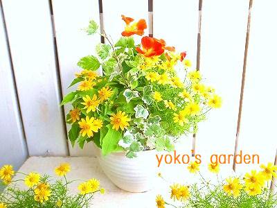 花 プレゼント 送料無料 花のプレゼントならガーデニング寄せ植えギフト通販 Yoko S Garden