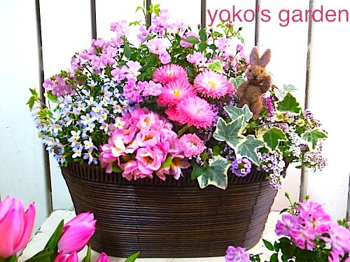 花プレゼント鉢植え 人気のpinkのラブリー寄せ植えギフト うさぎのピック付き 花のプレゼントは人気の寄せ植え 鉢植えギフト通販 Yoko S Garden