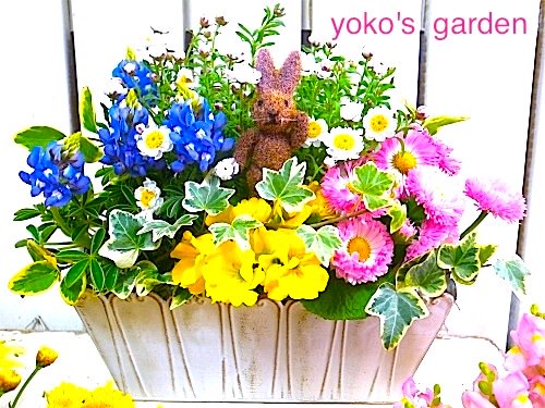 花プレゼント 花鉢ギフト 冬のおまかせhappy花鉢ギフト 花のプレゼントは人気の寄せ植え 鉢植えギフト通販 Yoko S Garden