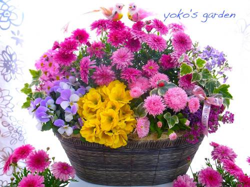 花プレゼント鉢植え 夏のanniversary花鉢ギフト 花のプレゼントは人気の寄せ植え 鉢植えギフト通販 Yoko S Garden