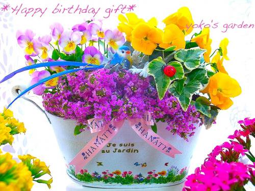 花 プレゼント おしゃれ 人気の誕生日お祝い花贈り物ギフト Birthday Party 送料無料 花のプレゼントは人気の寄せ植え 鉢植えギフト宅配通販 Yoko S Garden