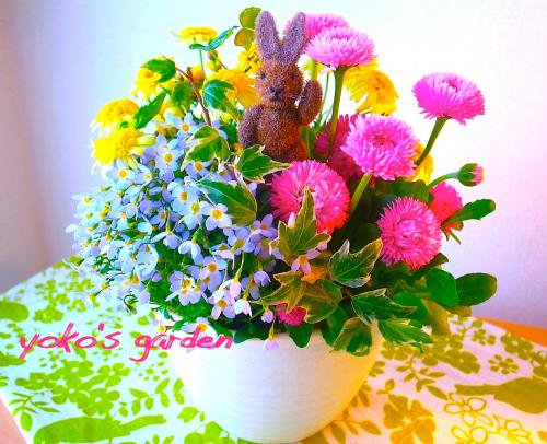 花プレゼント かわいい冬の花鉢ギフト 送料無料 花のプレゼントは人気の寄せ植え 鉢植えギフト宅配通販 Yoko S Garden