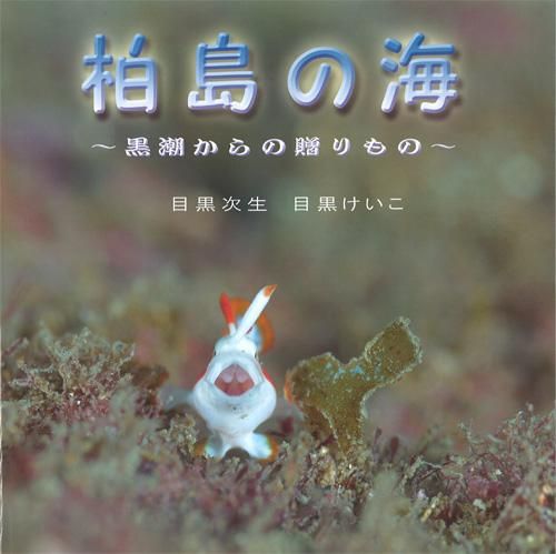 商品