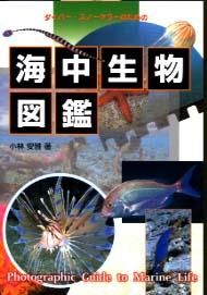 商品