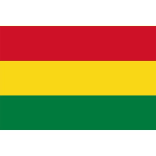 ボリビア多民族国国旗 フタバ装飾