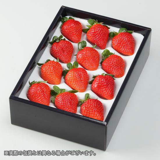 岡山県産 いちご かおりの 大粒 12～15粒 約450g 化粧箱入り - はちやフルーツ