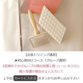 【初心者向け】パピー期犬のトリミングスクール・教室 〜グループ受講可〜(有料サービス)