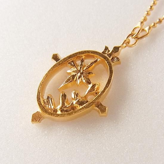 Picturesque-fern&star necklace