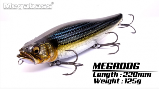 入荷しました メガドッグ メガバス Megabass Lure Angle Hama オンラインストア