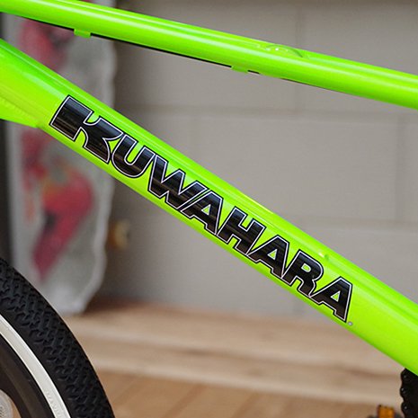 kuwahara exhibitionism for sale