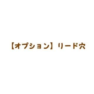 【オプション】リード穴