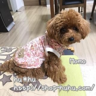 【サイズオーダー】Flower*fruit<img class='new_mark_img2' src='//img.shop-pro.jp/img/new/icons13.gif' style='border:none;display:inline;margin:0px;padding:0px;width:auto;' />