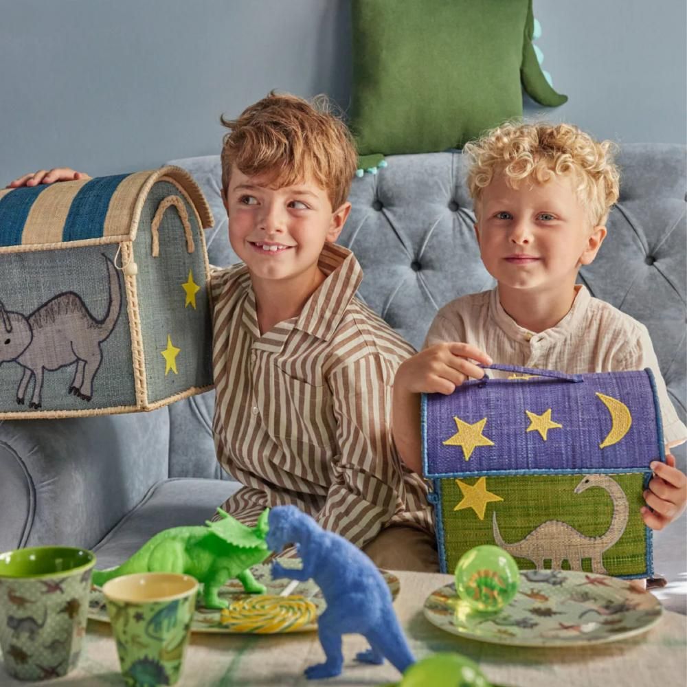 Rice dk house box Dinossaur - bonbon 外国の子供雑貨*お洋服を集めた