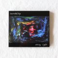 アルバム 「stray light」（sundelay／2011年）　taillights 