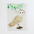 LUCKY BIRD「Large cards カードL / めんふくろう （barn owl）」