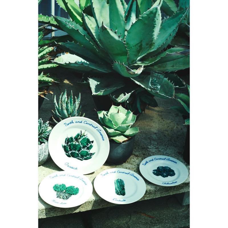 North and Central America PLATE SET | FLAGSTUFF - フラッグスタフ | Specs ONLINE  STORE