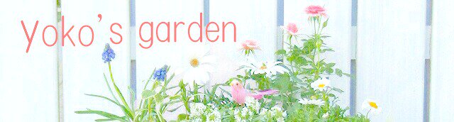 花プレゼントは人気のおしゃれ花鉢植え寄せ植えギフト宅配通販 Yoko S Garden