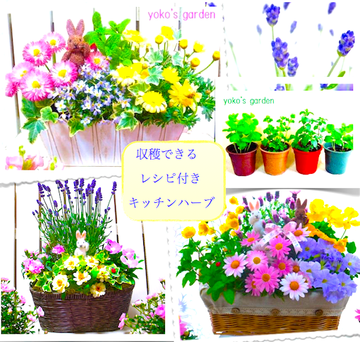花プレゼントは人気のおしゃれ花鉢植え寄せ植えギフト宅配通販 Yoko S Garden