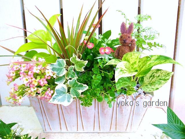 ハーブとお花の高級寄せ植え ファイバークレイ鉢 花プレゼントは人気のおしゃれ花鉢植え寄せ植えギフト宅配通販 Yoko S Garden