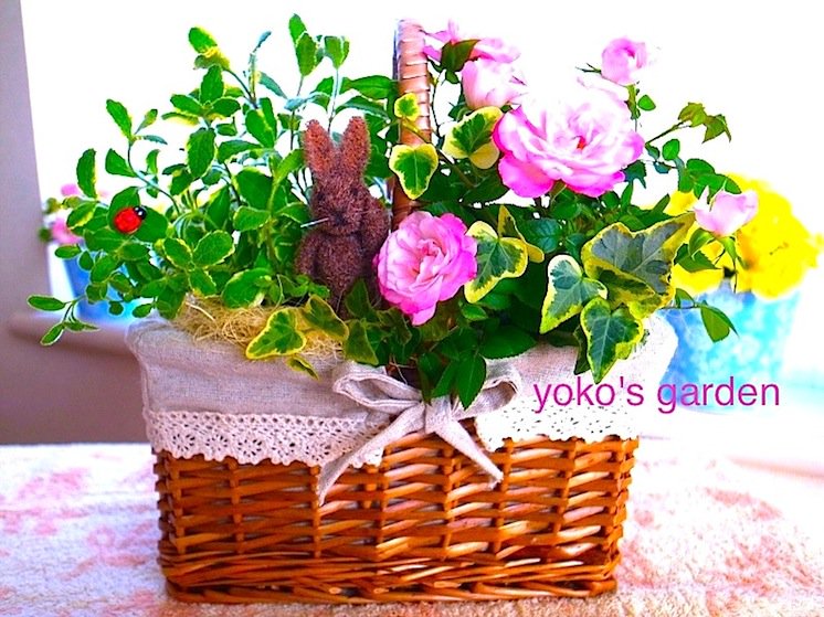 yoko's garden