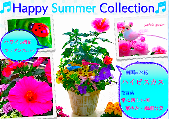 花プレゼントは人気のおしゃれ花鉢植え寄せ植えギフト宅配通販 Yoko S Garden