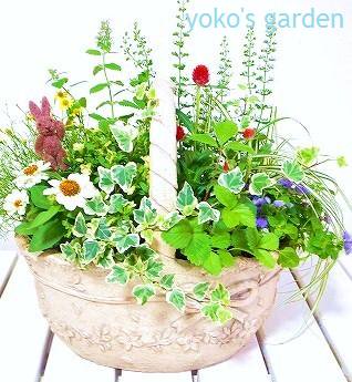 花プレゼント ハーブ 花のプレゼントは人気の寄せ植え 鉢植えギフト通販 Yoko S Garden