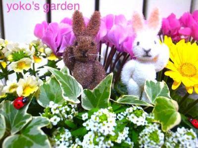 花プレゼントは人気のおしゃれ花鉢植え寄せ植えギフト宅配通販｜yoko's