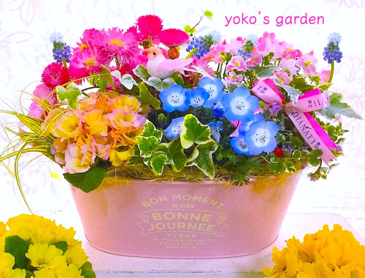 花 プレゼント 人気 幸せを願うサムシングブルーのムスカリ花鉢植えギフト 祝福バード付き 花のプレゼントは人気の寄せ植え 鉢植えギフト通販 Yoko S Garden