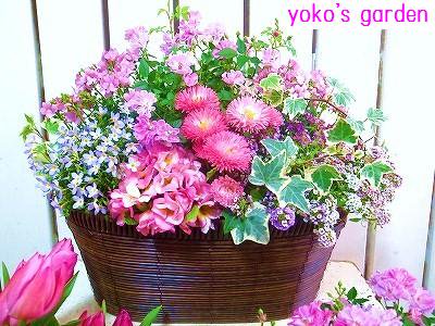 yoko's garden