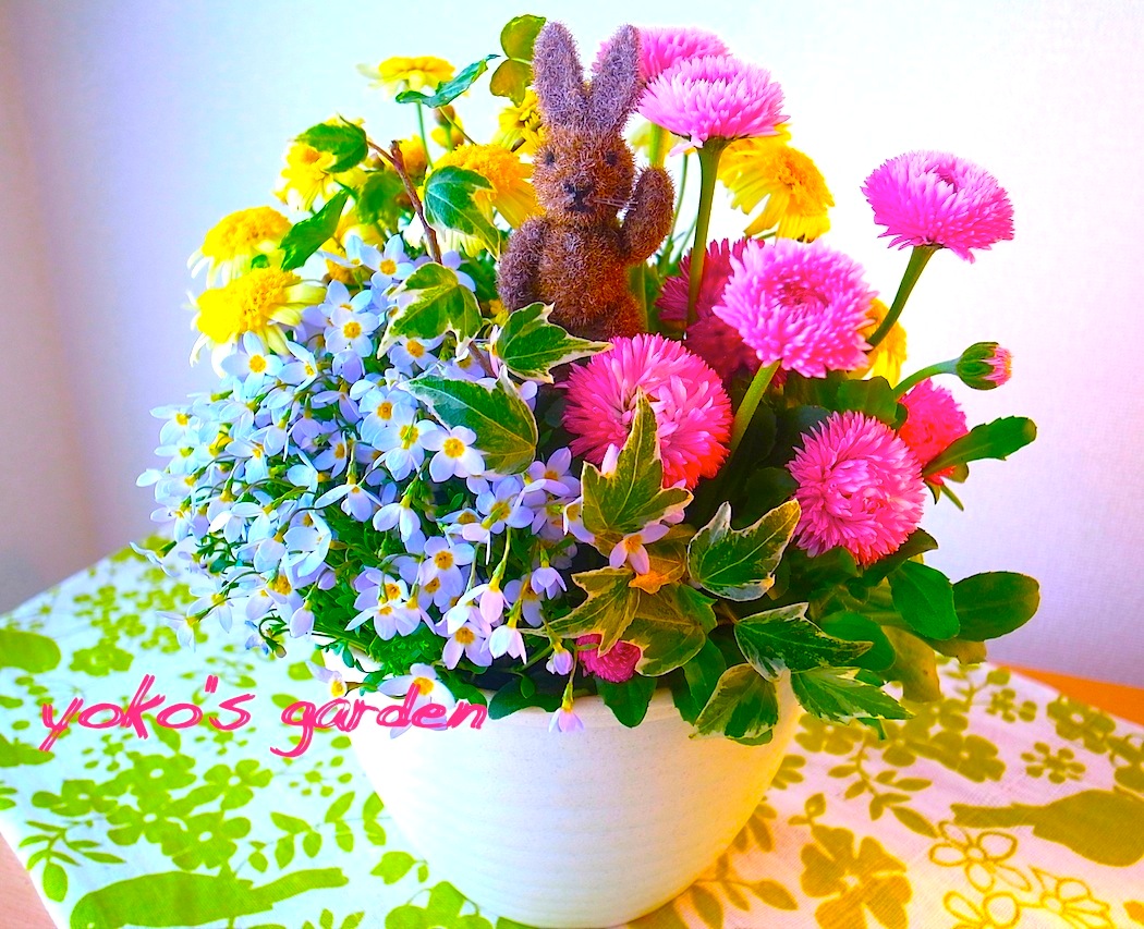 花プレゼント かわいい季節の花鉢ギフト 送料無料 花のプレゼントは人気の寄せ植え 鉢植えギフト宅配通販 Yoko S Garden