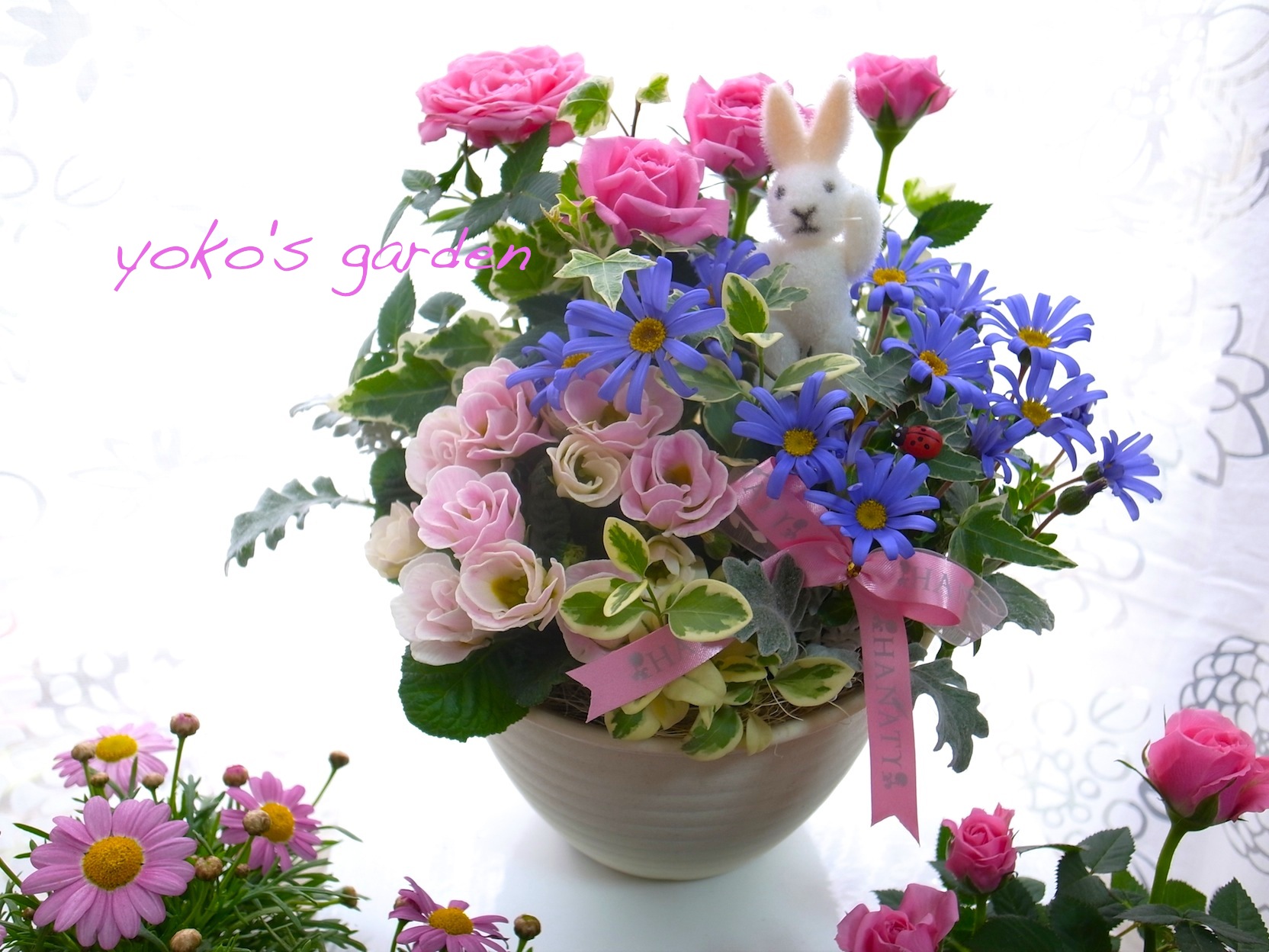 バラ プレゼント バラ お花のエレガントな花鉢ギフト寄せ植え 送料無料 数量限定 花のプレゼントは人気の寄せ植え 鉢植えギフト通販 Yoko S Garden