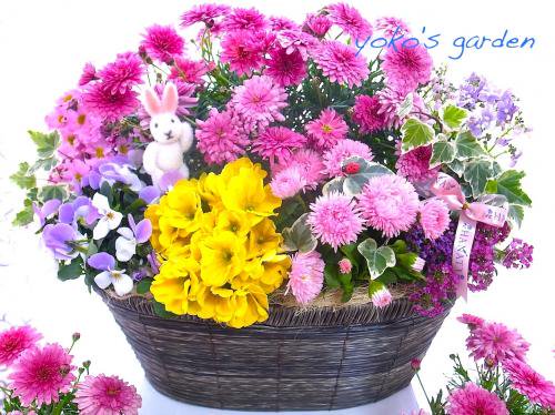花プレゼント鉢植え 季節のanniversary花鉢ギフト ウサギのピック付き 花のプレゼントは人気の寄せ植え 鉢植えギフト通販 Yoko S Garden