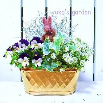 かわいい寄せ植え冬ギフト 花 プレゼント ハーブ お花の寄せ植えギフト ガーデニング寄せ植え通販 Yoko S Garden