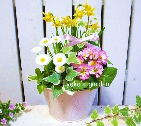 スイセンのかわいいｷﾞﾌﾄ寄せ植え 花プレゼントは人気のおしゃれ花鉢植え寄せ植えギフト宅配通販 Yoko S Garden