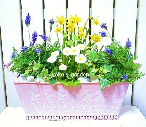 ラベンダーの寄せ植え 花プレゼントは人気のおしゃれ花鉢植え寄せ植えギフト宅配通販 Yoko S Garden