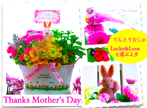 母の日 花 おしゃれ 母の日人気カーネーション ハーブ花鉢寄せ植えギフト Garden Party 送料無料 花プレゼント人気の花鉢植 Yoko S Garden