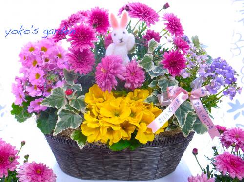 花 プレゼント 人気 夏のromance花鉢ギフト 送料無料 花のプレゼントは人気の寄せ植え 鉢植えギフト宅配通販 Yoko S Garden