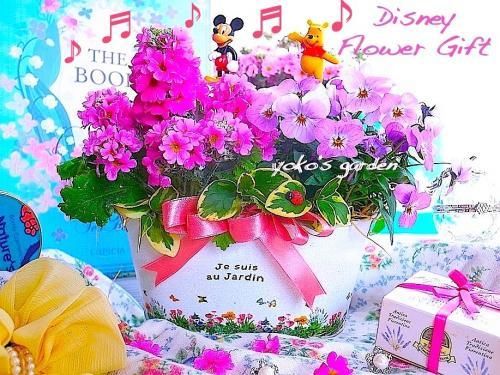 ディズニー 花 ギフト ディズニー花プレゼント花鉢寄せ植え鉢植えギフト ミッキー プーさん 送料無料 ディズニー 花 ギフト ディズニー花プレゼント花鉢寄せ植え鉢植えギフト ミッキー プーさん 送料無料