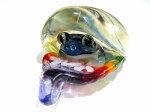 Frog in the Shell kengtaro/󥿥   ܥꥱȥ饹     եå  ե ݽ Ū 襤 