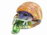 Frog in the Shell   kengtaro / 󥿥    ܥꥱȥ饹     եå  ե ݽ Ū 襤 