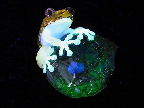 水 四 Kengtaro ケンタロー カエル 人気 蛙 かえる フロッグ 一点 カラフル 芸術 個性的 かわいい おしゃれ